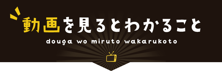 動画を見るとわかること